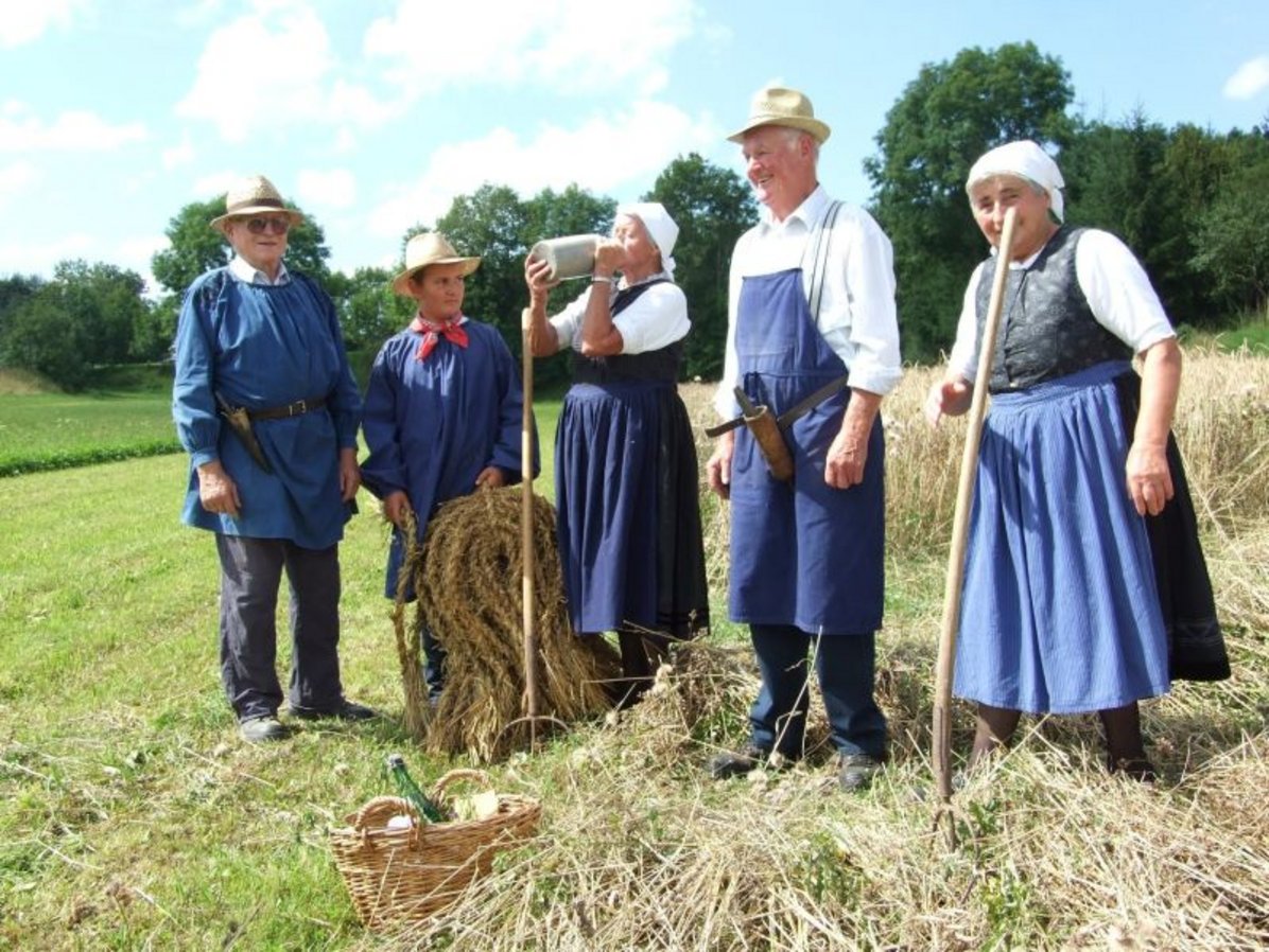 Personen in Trachten bei der Dinkelernte damals