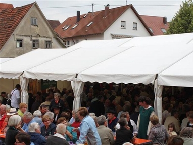 Dorffest 2011