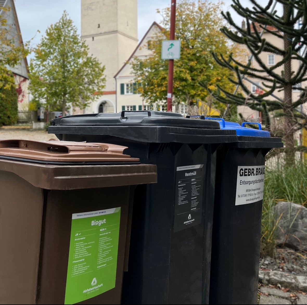 Blaue Tonne, Restmülltonne und Biotonne